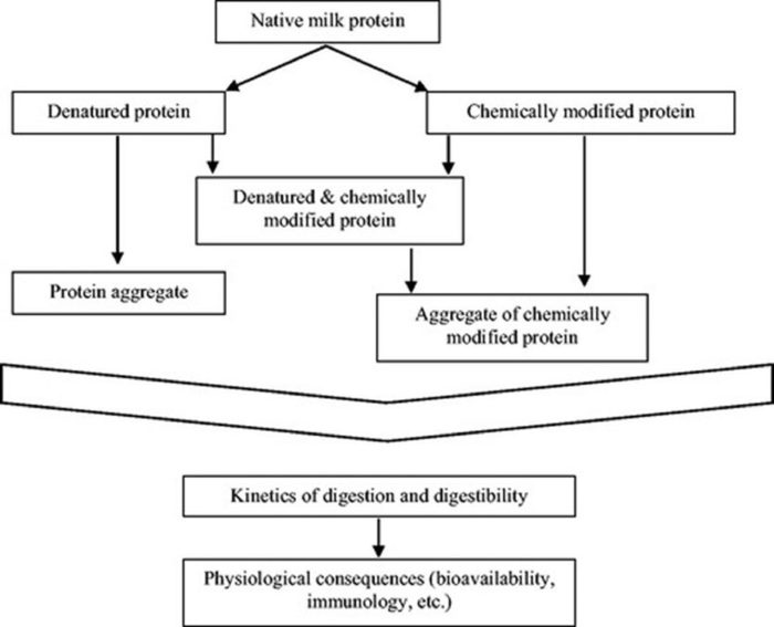 Figure 1 . Derived from Van Lieshout et al. (2020). Schematic overview of the reactions that can